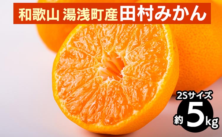 【先行予約】 田村みかん 約5kg 【2Sサイズ】 和歌山県 湯浅町 田村地区産