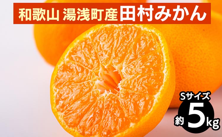 åæå±± 湯æµ
çºç£ ç°æã¿ãã 5kgãSãµã€ãºã â»2025幎11æäžæ¬ïœ2026幎1æäžæ¬é ã«é 次çºéäºå®