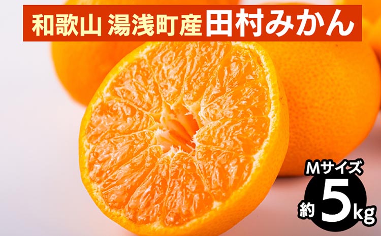 【先行予約】 田村みかん 約5kg 【Mサイズ】 和歌山県 湯浅町 田村地区産