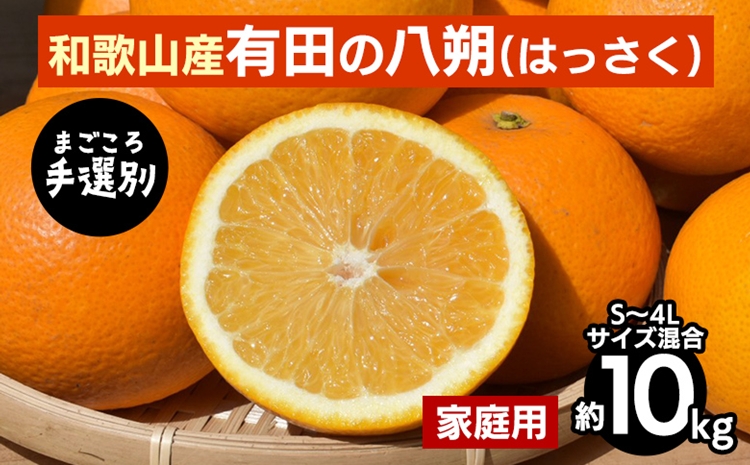【まごころ手選別】有田の八朔(はっさく)約10kg(S～4Lサイズ混合)家庭用 ※2026年1月上旬～3月下旬頃に順次発送予定