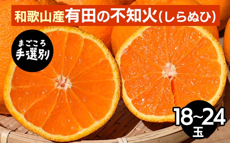 【まごころ手選別】和歌山産　有田の不知火(しらぬひ)18玉～24玉 ※2026年2月上旬～4月下旬頃に順次発送予定