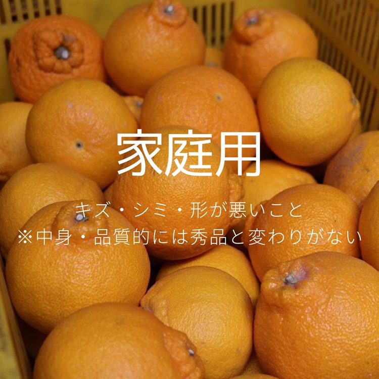 【まごころ手選別】和歌山産　有田の不知火(しらぬひ)約4kg(サイズ混合)【家庭用】 ※2026年2月上旬～4月下旬頃に順次発送予定