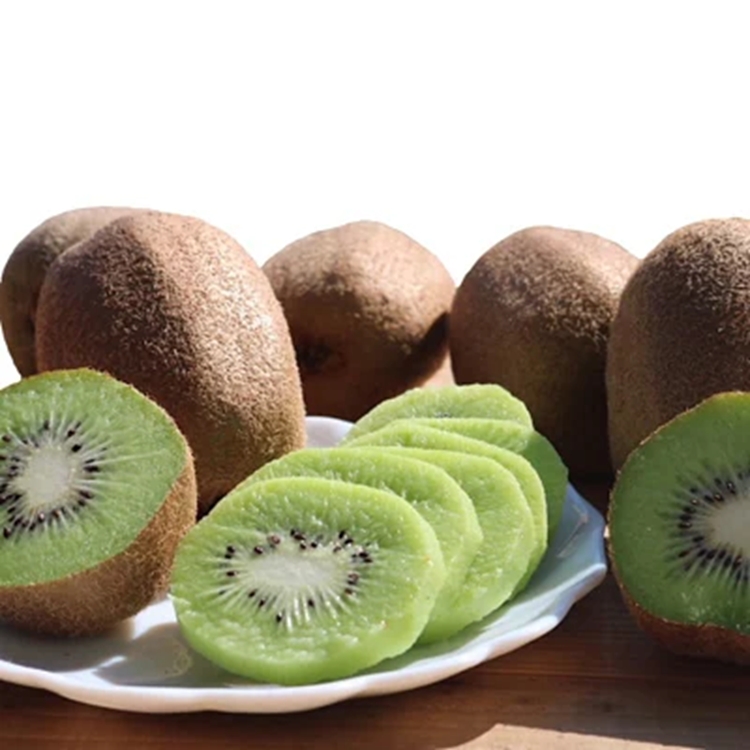 【まごころ手選別】和歌山産　キウイフルーツ　約1.2kg(サイズ混合)　秀品 ※2026年1月下旬～3月中旬頃に順次発送予定