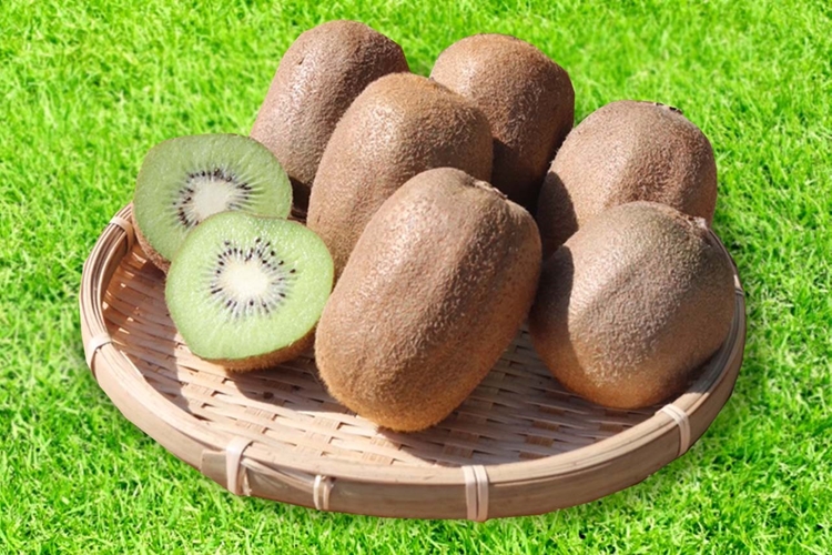 【まごころ手選別】和歌山産　キウイフルーツ　約3.6kg(サイズ混合)　秀品 ※2026年1月下旬～3月中旬頃に順次発送予定