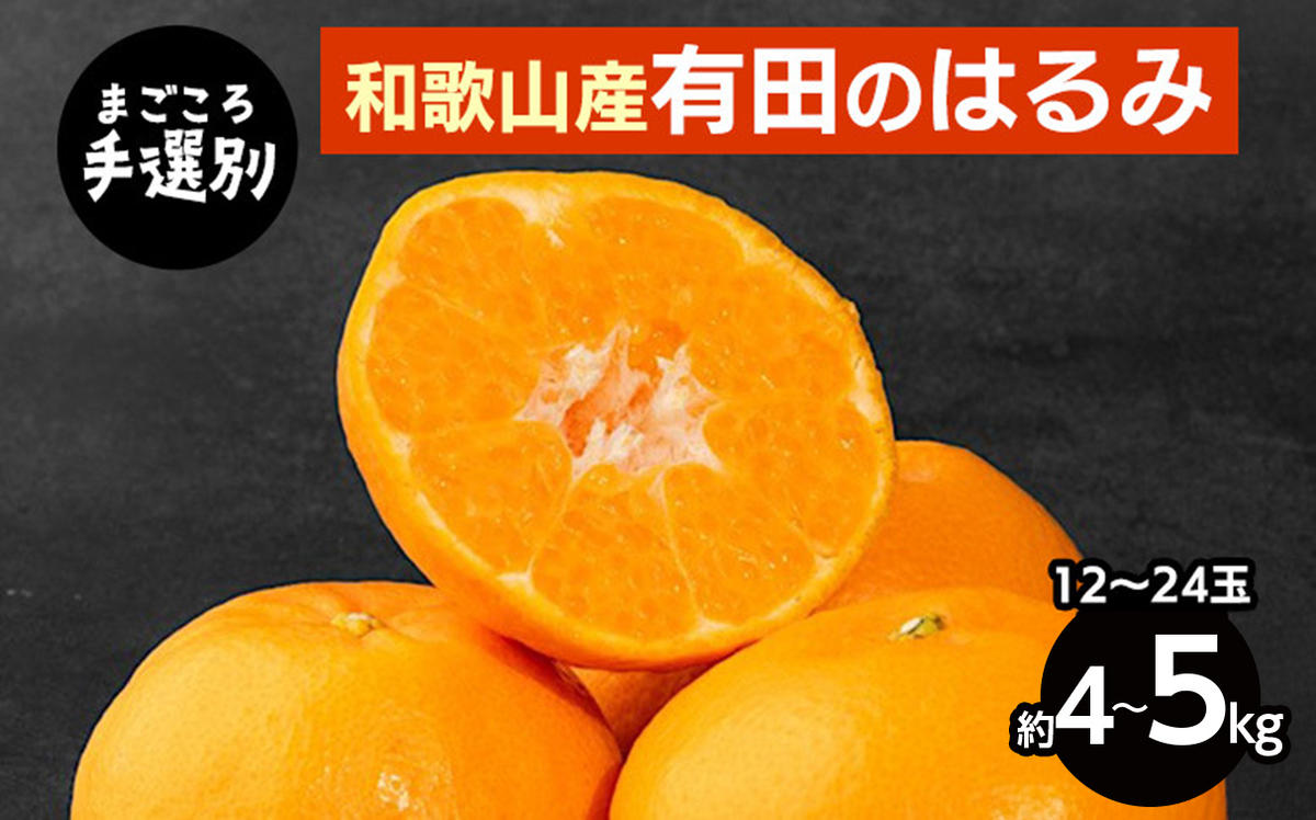 【先行予約】【まごころ手選別】和歌山県産 はるみ 約4～5kg（12～24玉）秀品 S～4Lサイズ混合 柑橘