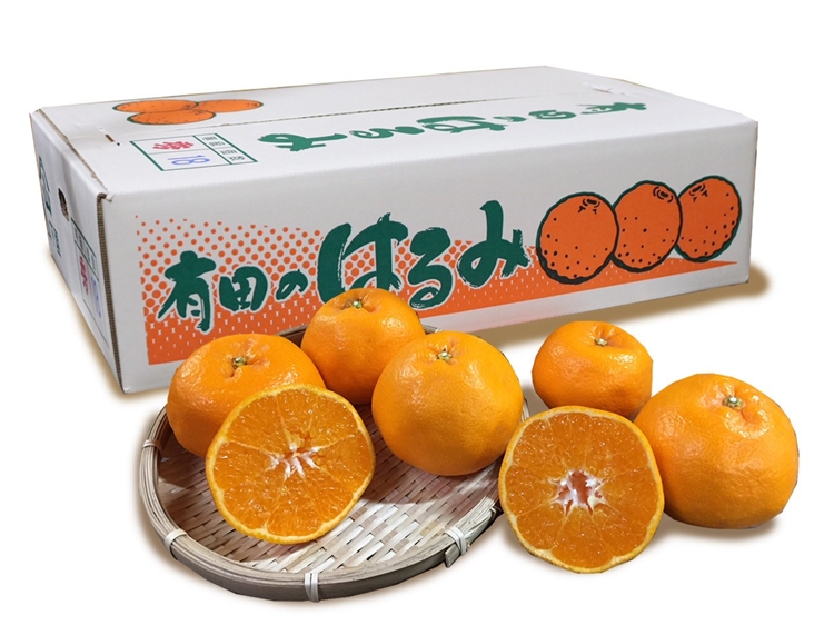 【まごころ手選別】和歌山産　有田のはるみ(L～2Lサイズ) 6玉 1箱 ※2026年1月中旬～2月下旬頃に順次発送予定