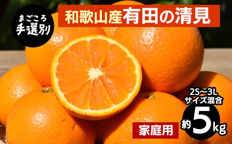 【まごころ手選別】和歌山産　有田の清見　約5kg(2S～3Lサイズ混合)【家庭用】 ※2026年3月上旬～4月下旬頃に順次発送予定