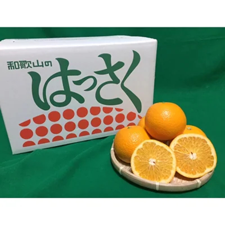 縲仙郁。御コ育エ縲 譛臥伐縺ョ蜈ォ譛費シ医ッ縺」縺輔¥シ 邏10kg Sス朞 繧オ繧、繧コ豺キ蜷 蜥梧ュ悟アア逵檎肇