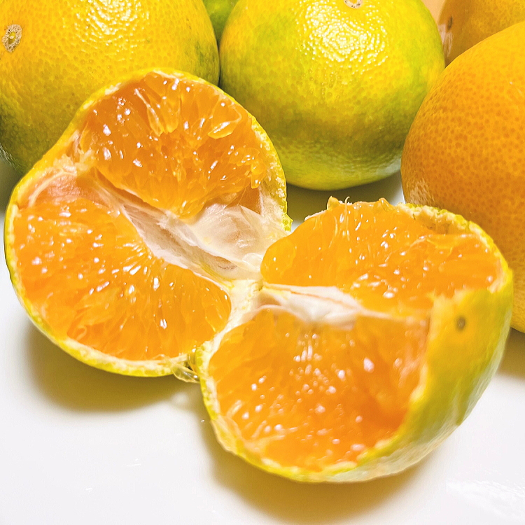 ãå
è¡äºçŽããç§ã®çŸå³ãã蟲家çŽéãããæ©çæç°ã¿ããïŒãå®¶åºçšïŒ1.2kg(1kg+200g(å·ã¿è£åå)) ãµãããšçŽçš ã¿ãã