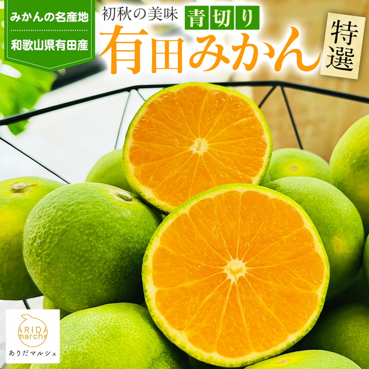 【先行予約】【初秋の美味】特選！濃厚青切り有田みかん 5.2kg(5kg+200g(傷み補償分))