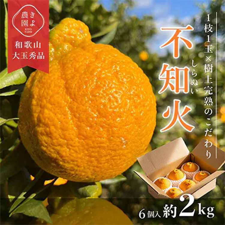 先行受付　不知火　希少な樹上完熟!　秀品大玉　6個入 ※2026年2月下旬～3月下旬頃に順次発送予定