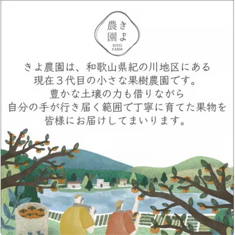 先行受付　大粒まりひめイチゴ　朝摘　6個～11個入×4パック ※2026年1月中旬～3月下旬頃に順次発送予定 ※離島への配送不可