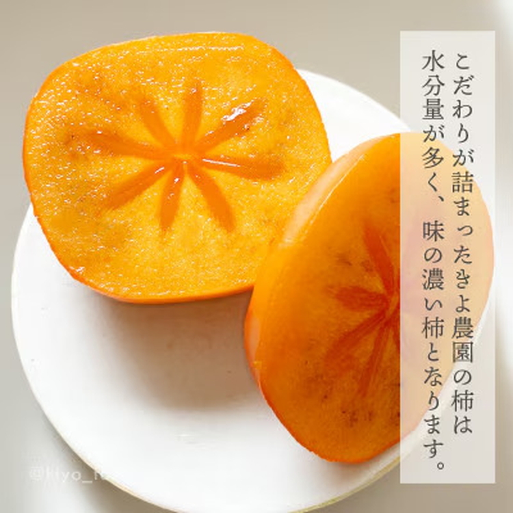 先行受付　柿(種無し)　赤秀品大玉　6個入　約1.8kg