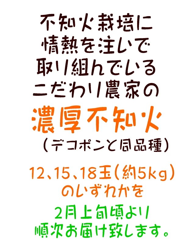 【先行予約】こだわり農家の濃厚不知火（デコポンと同品種） 12～18玉（約5kg）※2026年2月上旬～3月下旬頃に順次発送予定 ※北海道・沖縄・離島への配送不可