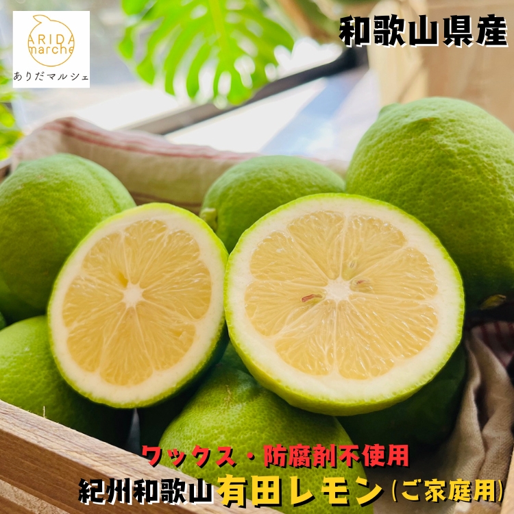 紀州和歌山 ご家庭用 有田 レモン 3kg+200g(傷み補償分)