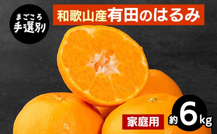 【まごころ手選別】和歌山産有田のはるみ　約6kg(家庭用) ※2026年1月下旬～2月下旬頃より順次発送予定