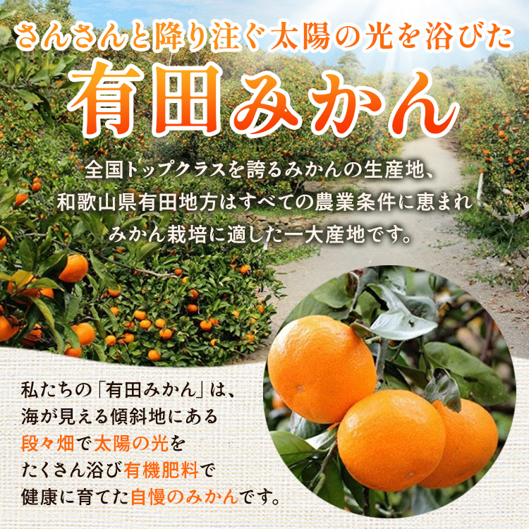 〈定期便〉【10・11・12月 全3回】家庭用 有田みかん定期便 1kg+250g（傷み補償分）※北海道・沖縄・離島への配送不可