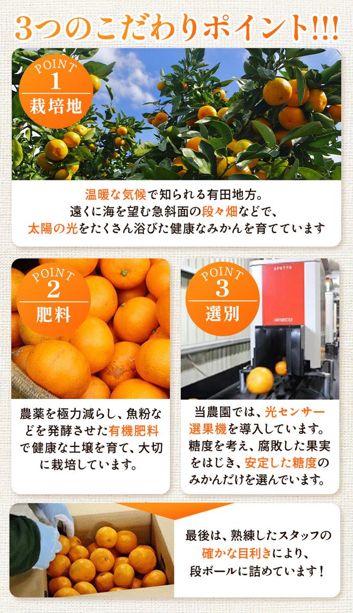 〈定期便〉【10・11・12月 全3回】家庭用 有田みかん定期便 1kg+250g（傷み補償分）※北海道・沖縄・離島への配送不可