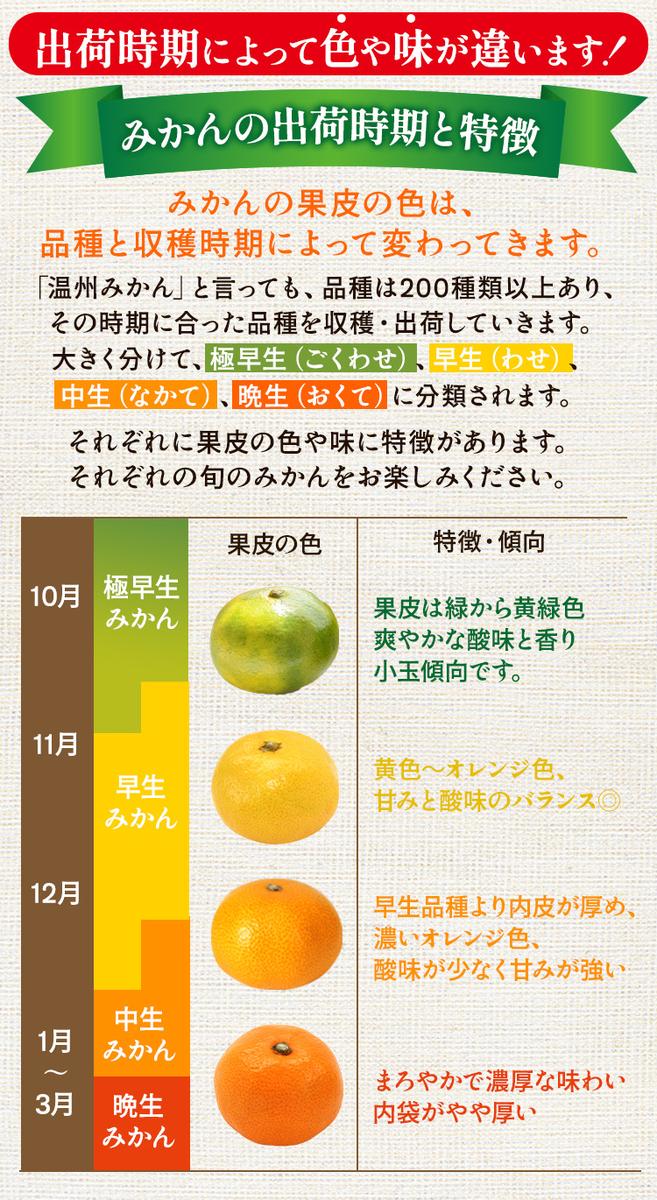 〈定期便〉【10・11・12月 全3回】家庭用 有田みかん定期便 1kg+250g（傷み補償分）※北海道・沖縄・離島への配送不可