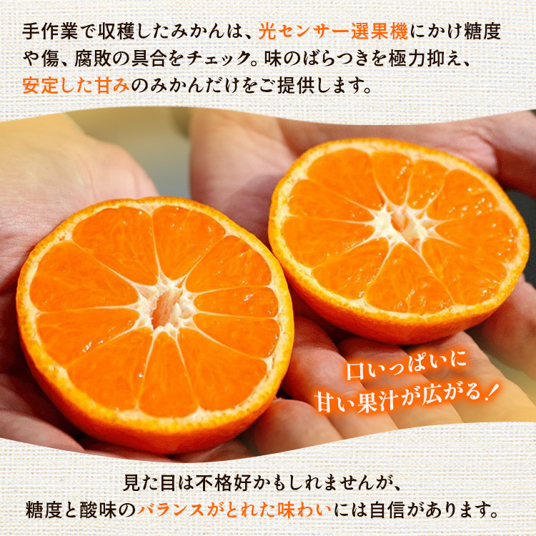 ãå®æäŸ¿ãã10ã»11ã»12æ å
š3åãå®¶åºçš æç°ã¿ããå®æäŸ¿ 2.5kg+250gïŒå·ã¿è£ååïŒâ»åæµ·éã»æ²çžã»é¢å³¶ãžã®é
éäžå¯