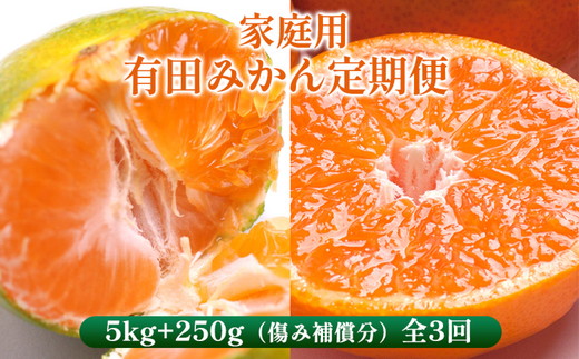 〈定期便〉【10・11・12月 全3回】家庭用 有田みかん定期便 5kg+250g（傷み補償分）※北海道・沖縄・離島への配送不可