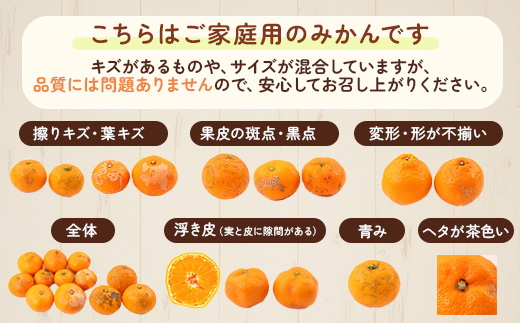 家庭用 小玉な有田みかん5kg+250g（傷み補償分）【わけあり・訳あり】【光センサー選果】 