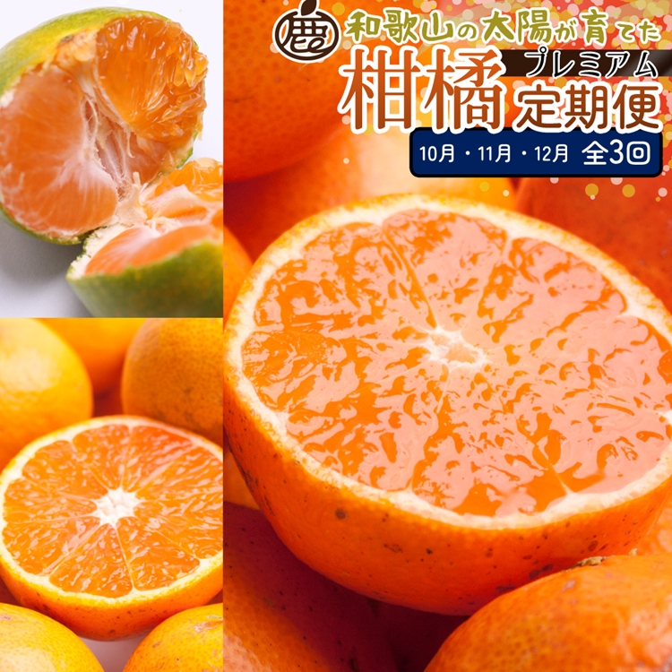 【定期便】厳選 柑橘定期便 S 3回（10～12月）※北海道・沖縄・離島への配送不可※10月・11月・12月に発送