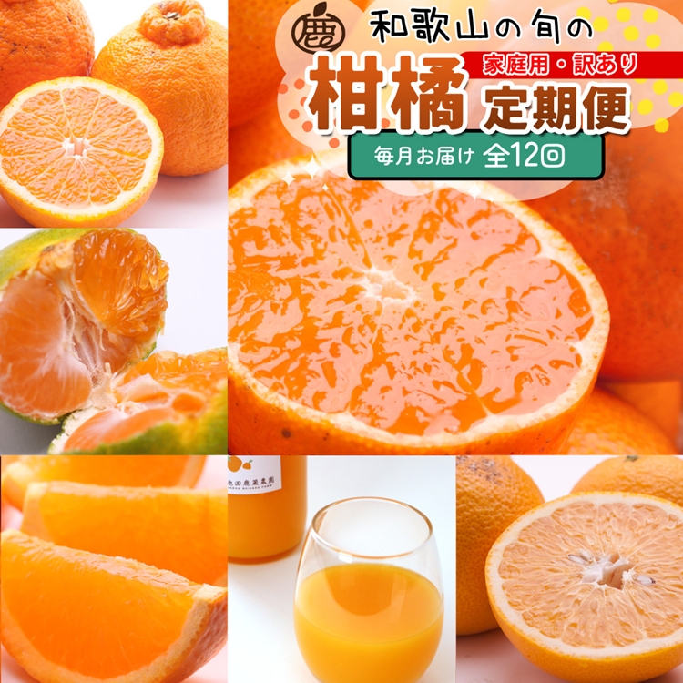 【定期便】家庭用 柑橘定期便 S 12回（毎月）※北海道・沖縄・離島への配送不可※毎月発送