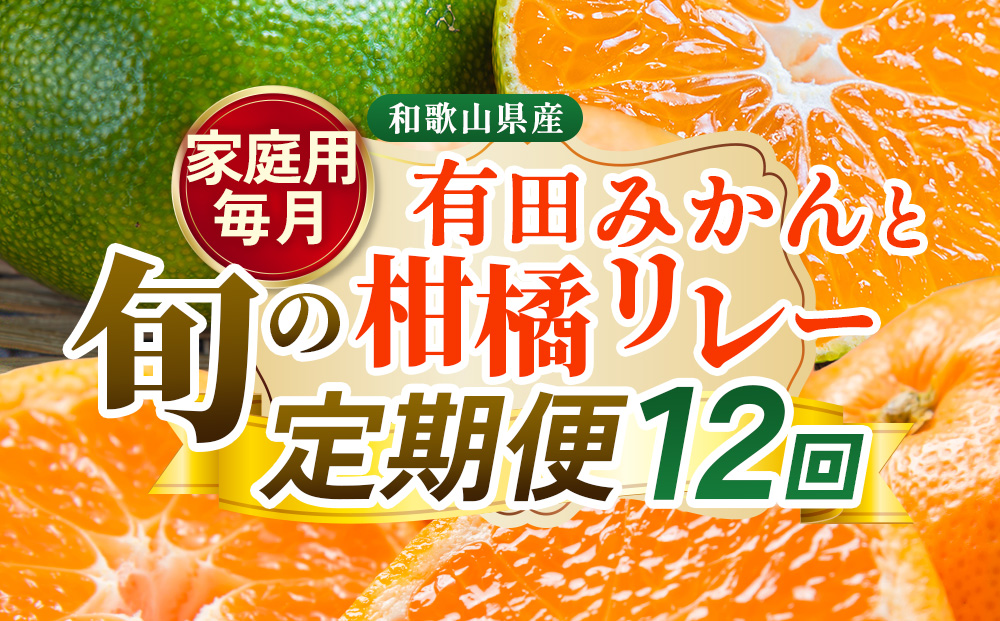 【定期便】家庭用 柑橘定期便 S 12回（毎月）※北海道・沖縄・離島への配送不可※毎月発送