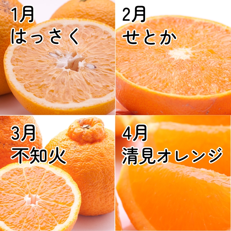 ãå®æäŸ¿ãå®¶åºçš ææ©å®æäŸ¿ S 12åïŒæ¯æïŒâ»åæµ·éã»æ²çžã»é¢å³¶ãžã®é
éäžå¯â»æ¯æçºé