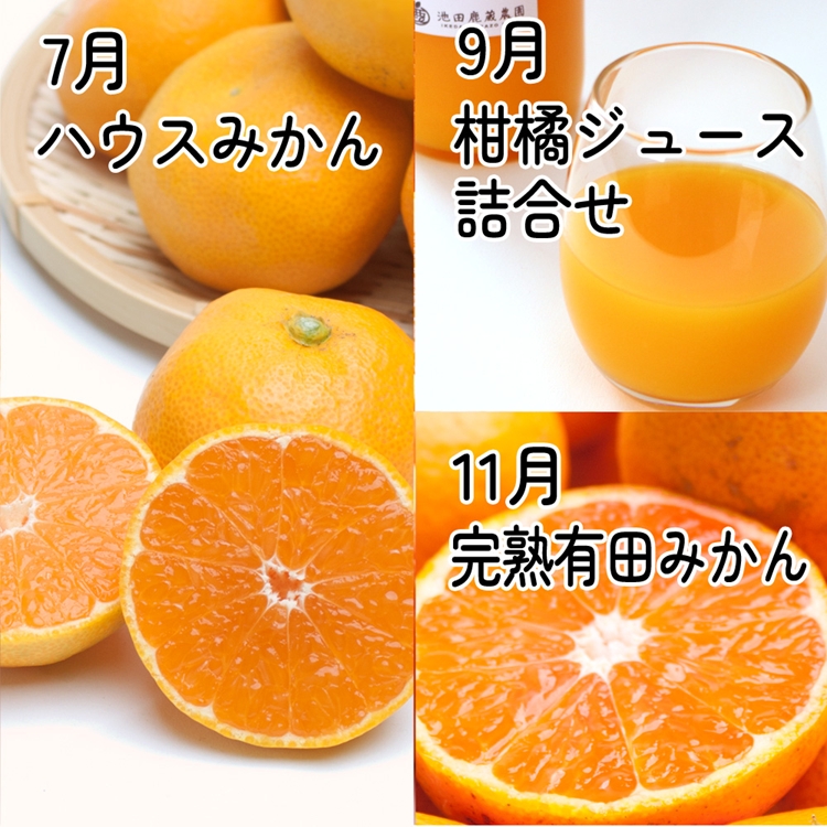 縲仙ョ壽悄萓ソ縲大ョカ蠎ュ逕ィ 譟第ゥ伜ョ壽悄萓ソ S 6蝗橸シ亥・謨ー譛茨シ俄サ蛹玲オキ驕薙サ豐也ク繝サ髮「蟲カ縺ク縺ョ驟埼∽ク榊庄窶サ螂謨ー譛医↓逋コ騾