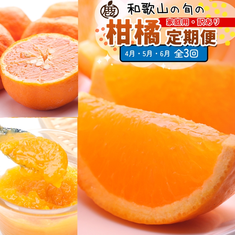 【定期便】家庭用 柑橘定期便 S 3回（4～6月）※北海道・沖縄・離島への配送不可※4月・5月・6月に発送