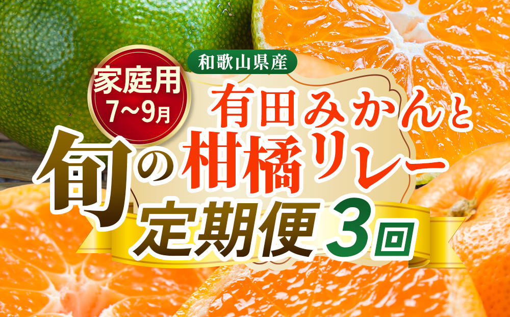 【定期便】家庭用 柑橘定期便 S 3回（7～9月）※北海道・沖縄・離島への配送不可※7月・8月・9月に発送