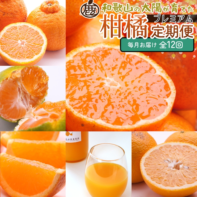 【定期便】厳選 柑橘定期便 M 12回（毎月）※北海道・沖縄・離島への配送不可※毎月発送
