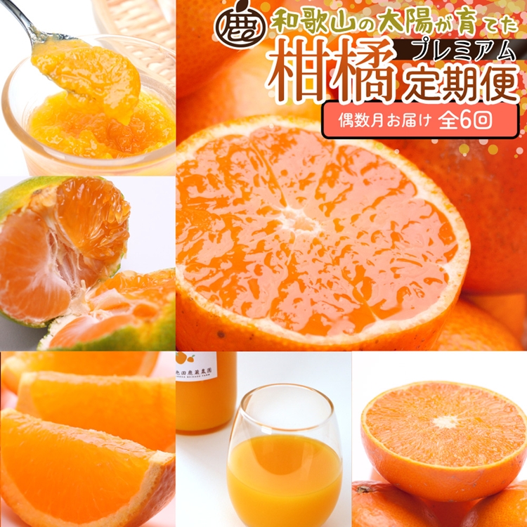 【定期便】厳選 柑橘定期便 M 6回（偶数月）※北海道・沖縄・離島への配送不可※偶数月に発送