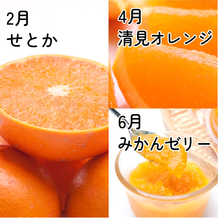 縲仙ョ壽悄萓ソ縲大ョカ蠎ュ逕ィ 譟第ゥ伜ョ壽悄萓ソ M 6蝗橸シ亥カ謨ー譛茨シ俄サ蛹玲オキ驕薙サ豐也ク繝サ髮「蟲カ縺ク縺ョ驟埼∽ク榊庄窶サ蛛カ謨ー譛医↓逋コ騾