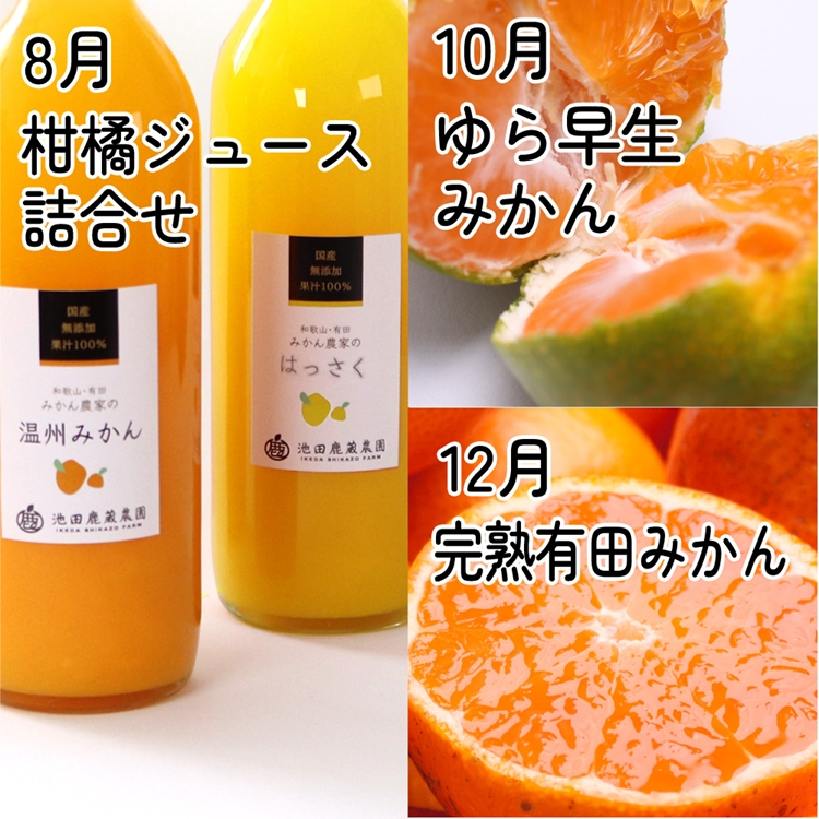 縲仙ョ壽悄萓ソ縲大ョカ蠎ュ逕ィ 譟第ゥ伜ョ壽悄萓ソ M 6蝗橸シ亥カ謨ー譛茨シ俄サ蛹玲オキ驕薙サ豐也ク繝サ髮「蟲カ縺ク縺ョ驟埼∽ク榊庄窶サ蛛カ謨ー譛医↓逋コ騾