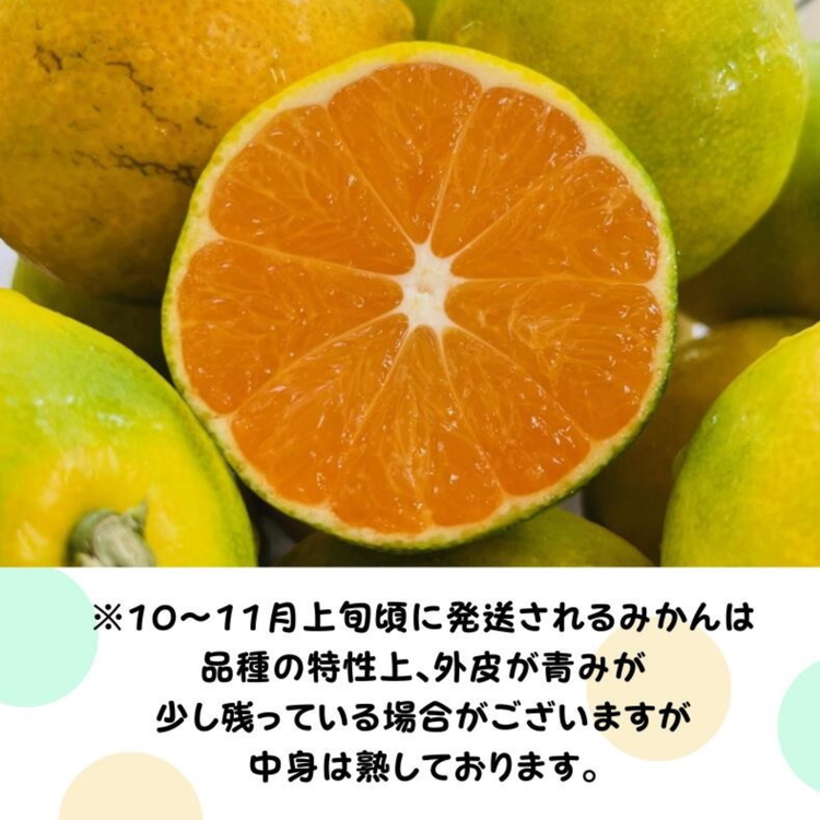 【先行予約】【数量限定】濃厚有田みかん(ご家庭用) 3.2kg(3kg+200g(傷み補償分))