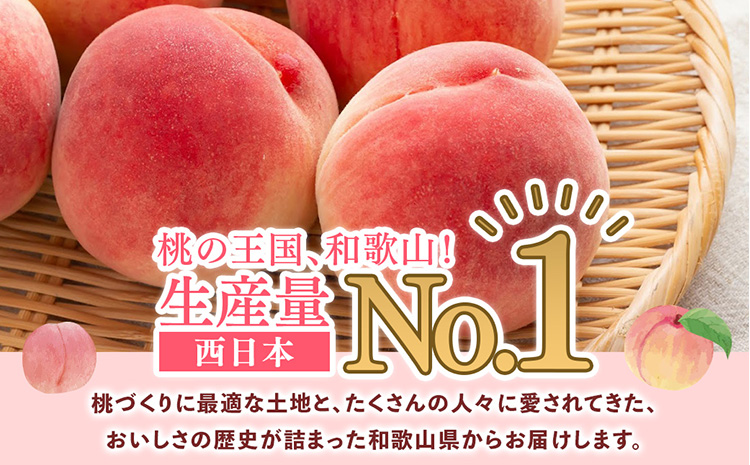 桃先行受付!　桃の王様【白鳳】　特秀品　食べきりやすい3個入り