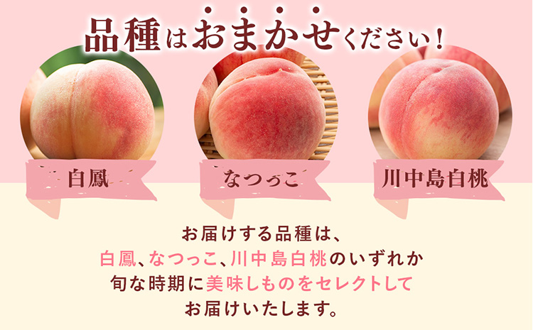 先行受付!　旬の桃　(特秀品)食べきりやすい3個入り