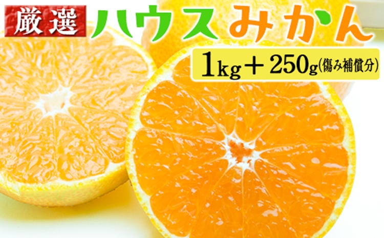 厳選 ハウスみかん1kg+250g（傷み補償分）