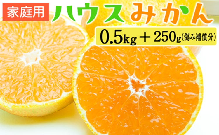 家庭用 ハウスみかん0.5kg+250g（傷み補償分）