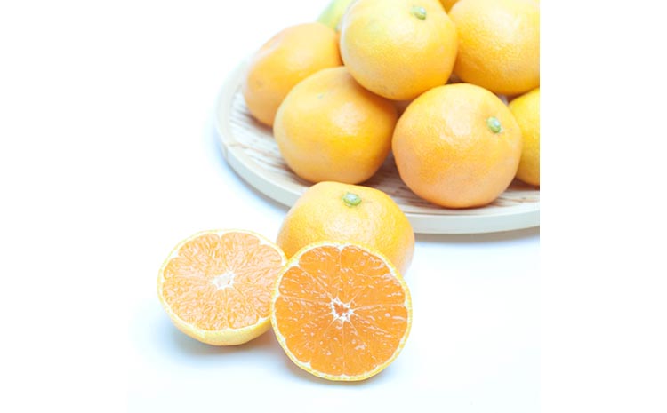 家庭用 ハウスみかん2.5kg+250g（傷み補償分）