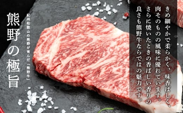 熊野牛 自家製ハンバーグ 10個入り