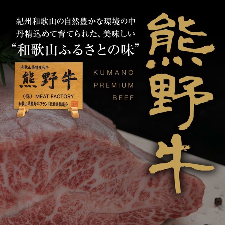 熊野牛 自家製ハンバーグ 10個入り