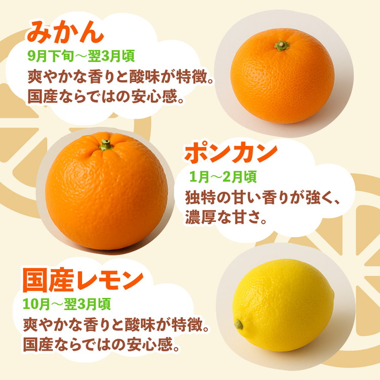 ＜1月より発送＞家庭用 柑橘詰合せ5kg+250g（傷み補償分）◇【訳あり・わけあり】【有田の春みかん詰め合わせ・フルーツ詰め合せ・オレンジつめあわせ】【光センサー選別】 ※北海道・沖縄・離島への配送不可 ※2026年1月上旬～4月下旬頃に順次発送予定