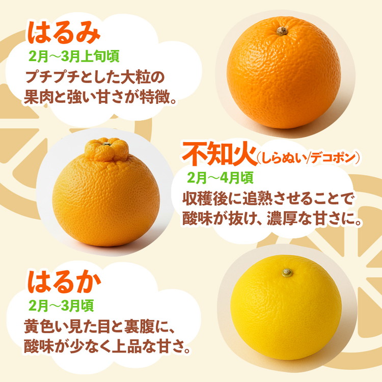 ＜1月より発送＞家庭用 柑橘詰合せ7.5kg+250g（傷み補償分）◇【訳あり・わけあり】【有田の春みかん詰め合わせ・フルーツ詰め合せ・オレンジつめあわせ】【光センサー選別】