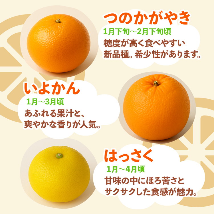 ＜1月より発送＞厳選 柑橘詰合せ5kg+250g（傷み補償分）◇【有田の春みかん詰め合わせ・フルーツ詰め合せ・オレンジつめあわせ】【光センサー選別】 ※北海道・沖縄・離島への配送不可 ※2026年1月上旬～4月下旬頃に順次発送予定