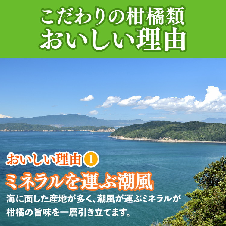 ＜1月より発送＞厳選 柑橘詰合せ5kg+250g（傷み補償分）◇【有田の春みかん詰め合わせ・フルーツ詰め合せ・オレンジつめあわせ】【光センサー選別】 ※北海道・沖縄・離島への配送不可 ※2026年1月上旬～4月下旬頃に順次発送予定