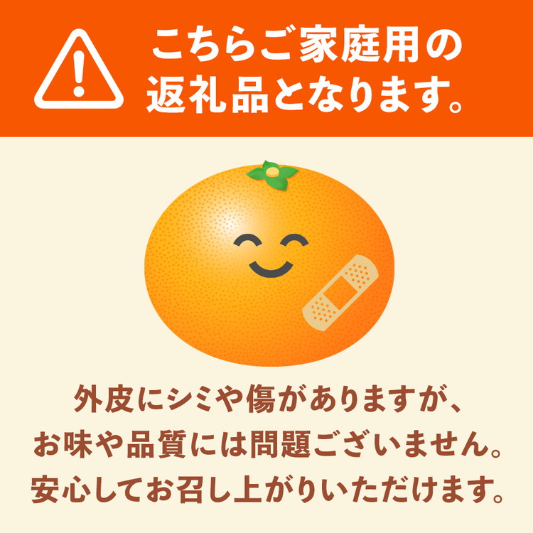 ＜1月より発送＞家庭用 柑橘詰合せ7.5kg+250g（傷み補償分）◇【訳あり・わけあり】【有田の春みかん詰め合わせ・フルーツ詰め合せ・オレンジつめあわせ】【光センサー選別】